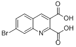 7-BROMOQUINOLINE-2,3-DICARBOXYLIC ACID