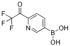 6-Trifluoroacetylpyridine-3-boronic acid