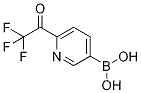 Molecular Structure of 1310384-03-2 (6-Trifluoroacetylpyridine-3-boronic acid)