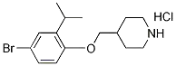 1219972-50-5 Structure