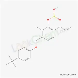 Molecular Structure of 3376-90-7 (Sulfurous acid 1-[(p-tert-butylphenoxy)methyl]propyl=2-methylphenyl ester)
