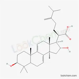 Molecular Structure of 6754-16-1 (Dehydrotumulosic acid)