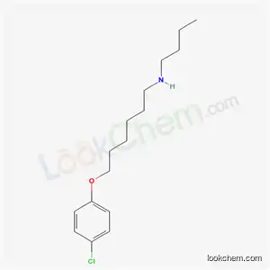 N-butyl-6-(4-chlorophenoxy)hexan-1-amine