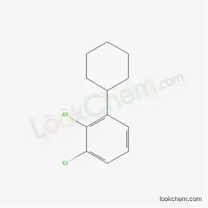 Molecular Structure of 59330-98-2 (1,2-dichloro-3-cyclohexylbenzene)