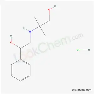 Molecular Structure of 67704-50-1 (2-[(2-hydroxy-2-phenylethyl)amino]-2-methylpropan-1-ol hydrochloride)