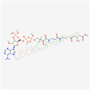 3-Hydroxyglutaryl-coa(6245-72-3)