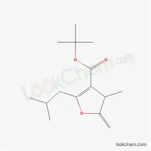 Molecular Structure of 68067-16-3 (tert-butyl 4-methyl-5-methylidene-2-(2-methylpropyl)-4,5-dihydrofuran-3-carboxylate)