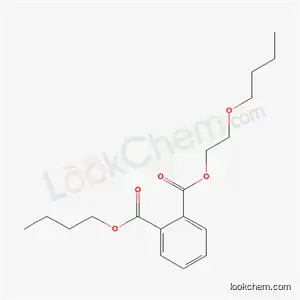 Molecular Structure of 33374-28-6 (butoxyethyl butyl phthalate)