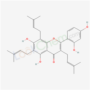 4H-1-Benzopyran-4-one,2-(2,4-dihydroxyphenyl)- 5,7-dihydroxy-3,6,8-tris(3-methyl-2- butenyl)-  cas  182052-13-7
