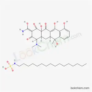 Molecular Structure of 16110-21-7 (tetracycline hexadecylsulfamate)