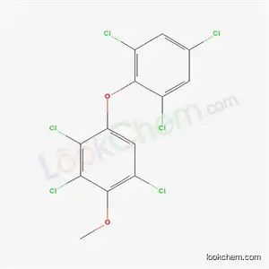 Molecular Structure of 97534-04-8 (1,3,4-trichloro-2-methoxy-5-(2,4,6-trichlorophenoxy)benzene)
