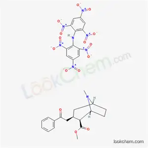 Molecular Structure of 119519-02-7 (Cocaine-dipicrylaminate)