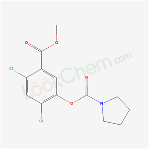 (2,4-dichloro-5-methoxycarbonyl-phenyl) pyrrolidine-1-carboxylate