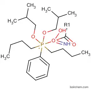 Molecular Structure of 87992-80-1 (Phosphorimidic acid, [bis(2-methylpropoxy)phosphinyl]-, dibutyl phenyl
ester)