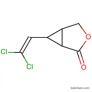 Molecular Structure of 88037-55-2 (3-Oxabicyclo[3.1.0]hexan-2-one, 6-(2,2-dichloroethenyl)-)