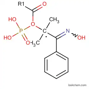 Molecular Structure of 88184-58-1 (Phosphonic acid, [2-(hydroxyimino)-2-phenylethyl]-, dimethyl ester)