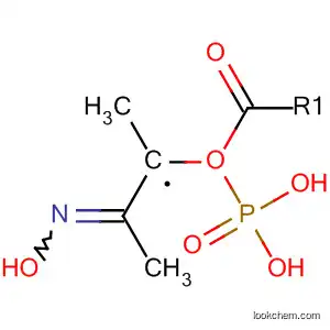 Molecular Structure of 88184-65-0 (Phosphonic acid, [2-(hydroxyimino)propyl]-, monomethyl ester)
