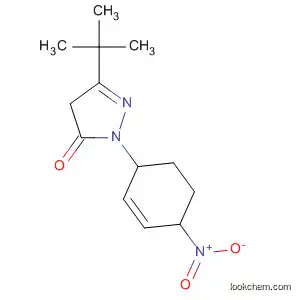 Molecular Structure of 88351-68-2 (3-(TERT-BUTYL)-1-(4-NITROPHENYL)-2-PYRAZOLIN-5-ONE)