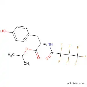 Molecular Structure of 88435-95-4 (Tyrosine, N-(2,2,3,3,4,4,4-heptafluoro-1-oxobutyl)-, 1-methylethyl ester)