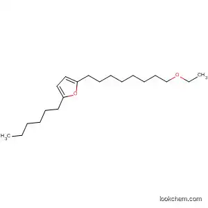 Molecular Structure of 88646-98-4 (Furan, 2-(8-ethoxyoctyl)-5-hexyl-)