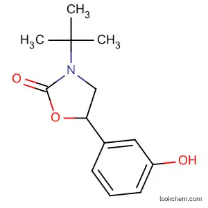 Molecular Structure of 88698-97-9 (2-Oxazolidinone, 3-(1,1-dimethylethyl)-5-(3-hydroxyphenyl)-)