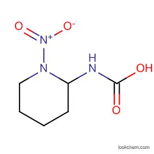 Molecular Structure of 88738-48-1 (Carbamic acid, (1-nitro-2-piperidinyl)-)