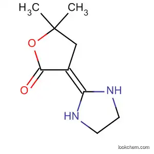 Molecular Structure of 89810-15-1 (2(3H)-Furanone, dihydro-3-(2-imidazolidinylidene)-5,5-dimethyl-)