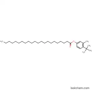Molecular Structure of 89810-47-9 (Docosanoic acid, 4-(1,1-dimethylethyl)-3-methylphenyl ester)