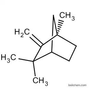 Molecular Structure of 100018-32-4 (Bicyclo[2.2.1]heptane, 1,3,3-trimethyl-2-methylene-, (1R)-)