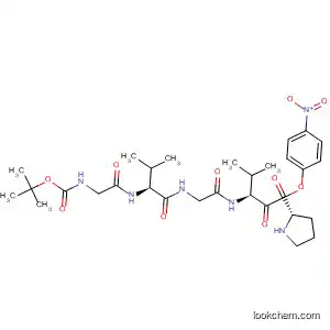 Molecular Structure of 125706-14-1 (L-Proline,
1-[N-[N-[N-[N-[(1,1-dimethylethoxy)carbonyl]glycyl]-L-valyl]glycyl]-L-valyl]-
, 4-nitrophenyl ester)