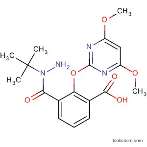Molecular Structure of 141112-44-9 (Benzoic acid, 2-[(4,6-dimethoxy-2-pyrimidinyl)oxy]-,
2-(1,1-dimethylethyl)hydrazide)