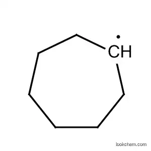 Molecular Structure of 4566-80-7 (Cycloheptyl)