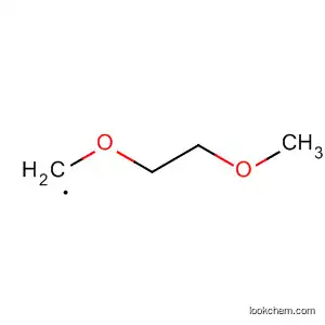 Molecular Structure of 4617-62-3 (Methyl, (2-methoxyethoxy)-)