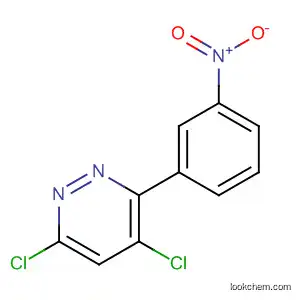 Molecular Structure of 80591-52-2 (Pyridazine, 4,6-dichloro-3-(3-nitrophenyl)-)