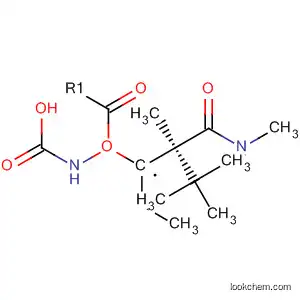 Molecular Structure of 198196-10-0 (Carbamic acid,
[(1R,2S)-1-ethyl-2-methyl-3-(methylamino)-3-oxopropyl]-,
1,1-dimethylethyl ester)