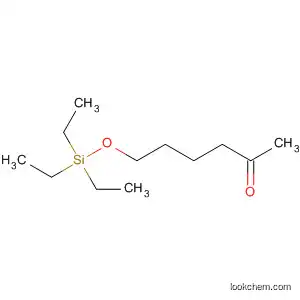 Molecular Structure of 501932-66-7 (2-Hexanone, 6-[(triethylsilyl)oxy]-)