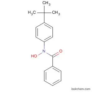 Molecular Structure of 465506-01-8 (Benzamide, N-[4-(1,1-dimethylethyl)phenyl]-N-hydroxy-)