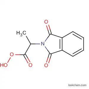 Molecular Structure of 5880-39-7 (2H-Isoindole-2-propaneperoxoic acid, 1,3-dihydro-1,3-dioxo-)