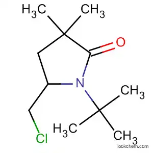 Molecular Structure of 647027-87-0 (2-Pyrrolidinone, 5-(chloromethyl)-1-(1,1-dimethylethyl)-3,3-dimethyl-)