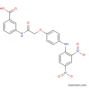 Molecular Structure of 649774-12-9 (Benzoic acid, 3-[[[4-[(2,4-dinitrophenyl)amino]phenoxy]acetyl]amino]-)