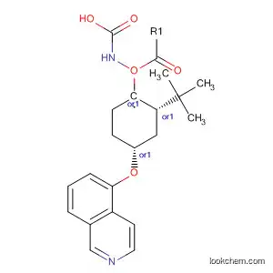 Molecular Structure of 651310-44-0 (Carbamic acid, [trans-4-(5-isoquinolinyloxy)cyclohexyl]-,
1,1-dimethylethyl ester)