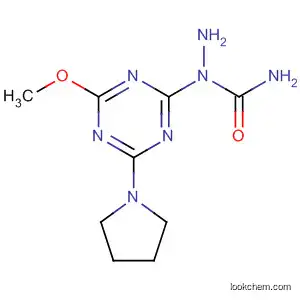 Molecular Structure of 633283-18-8 (Hydrazinecarboxamide,
1-[4-methoxy-6-(1-pyrrolidinyl)-1,3,5-triazin-2-yl]-)