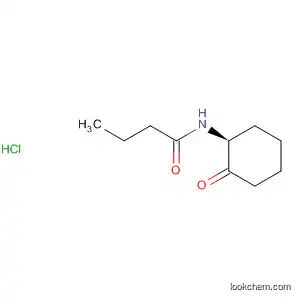 Molecular Structure of 821800-98-0 (Butanamide, N-[(1S)-2-oxocyclohexyl]-, hydrochloride)