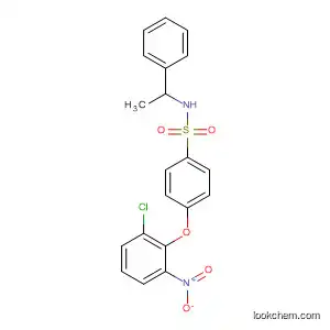 Molecular Structure of 823780-81-0 (Benzenesulfonamide, 4-(2-chloro-6-nitrophenoxy)-N-(1-phenylethyl)-)
