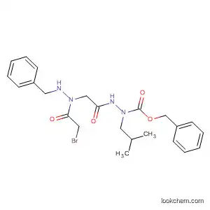 Molecular Structure of 827337-47-3 (Hydrazinecarboxylic acid,
2-[[2-(bromoacetyl)-1-(phenylmethyl)hydrazino]acetyl]-1-(2-methylpropyl
)-, phenylmethyl ester)