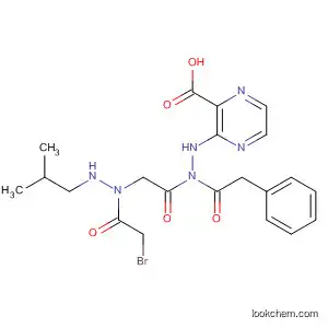 Molecular Structure of 827337-48-4 (Pyrazinecarboxylic acid,
2-[[2-(bromoacetyl)-1-(2-methylpropyl)hydrazino]acetyl]-1-(phenylmethyl
)hydrazide)