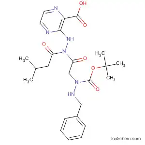 Molecular Structure of 827337-70-2 (Pyrazinecarboxylic acid,
2-[[2-[(1,1-dimethylethoxy)carbonyl]-1-(phenylmethyl)hydrazino]acetyl]-1-
(2-methylpropyl)hydrazide)