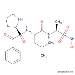 Molecular Structure of 873198-16-4 (D-Alaninamide, 1-benzoyl-L-prolyl-D-leucyl-N-hydroxy-)