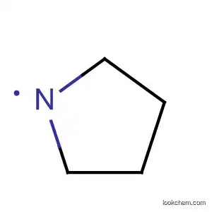 Molecular Structure of 27689-66-3 (1-Pyrrolidinyl)