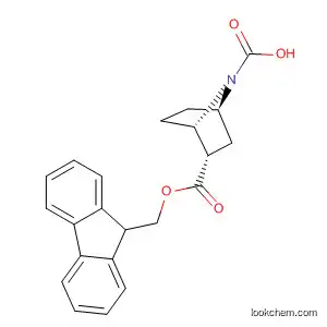 Molecular Structure of 918411-64-0 (7-Azabicyclo[2.2.1]heptane-2,7-dicarboxylic acid,
7-(9H-fluoren-9-ylmethyl) ester, (1S,2S,4R)-)